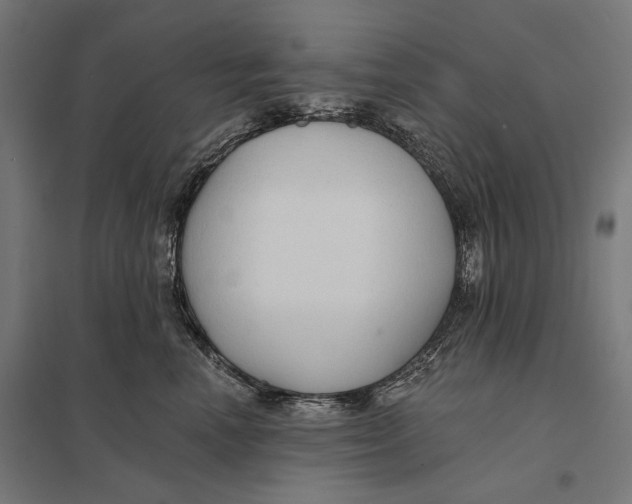 X0000097750666200803281611