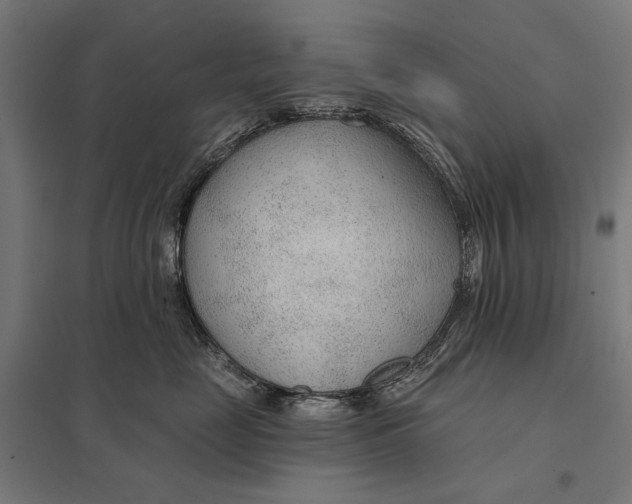 X0000097750669200803281611