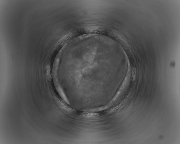 X0000097750670200803281611