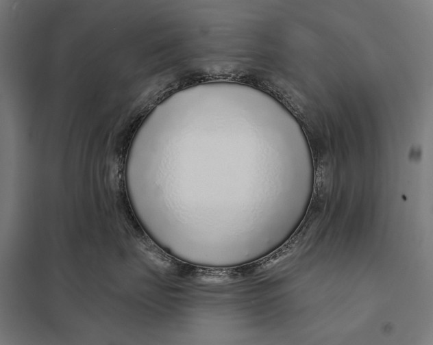 X0000097750671200803281611