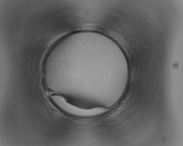 X0000097750673200803281611