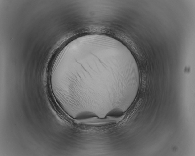 X0000097750674200803281611