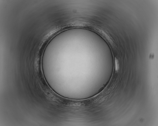 X0000097750675200803281611