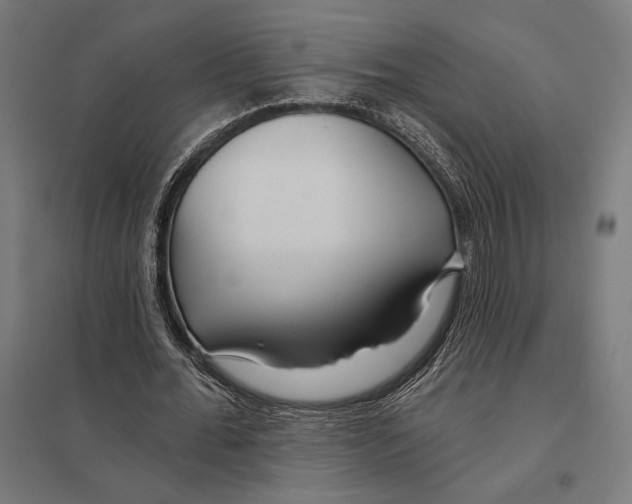 X0000097750676200803281611