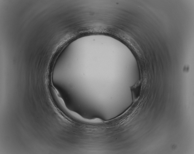 X0000097750677200803281611