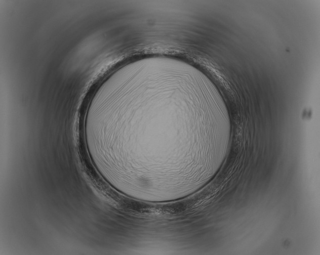 X0000097750678200803281611