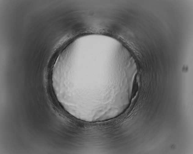 X0000097750679200803281611