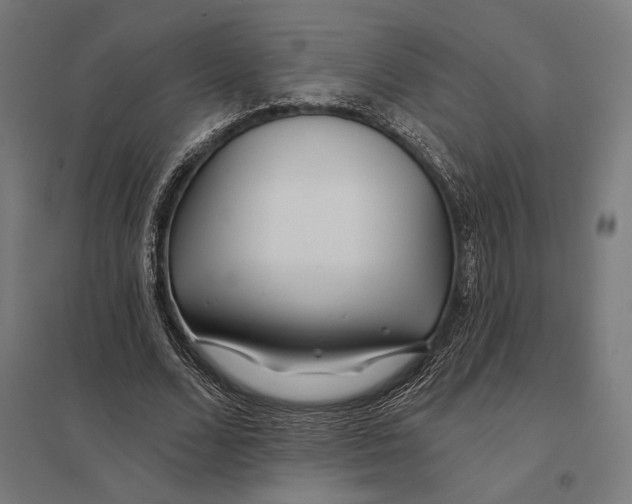 X0000097750680200803281611