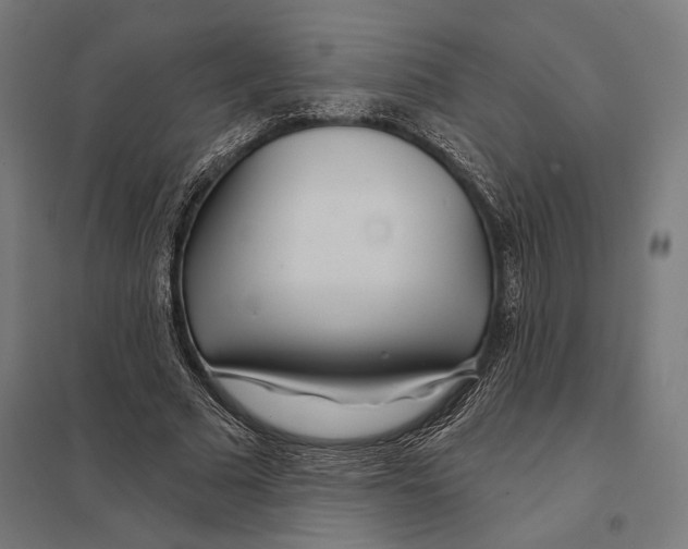 X0000097750681200803281611