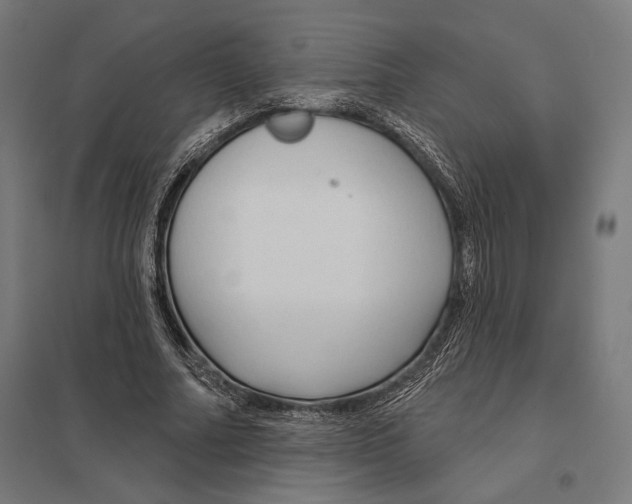 X0000097750682200803281611