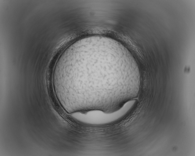 X0000097750683200803281611