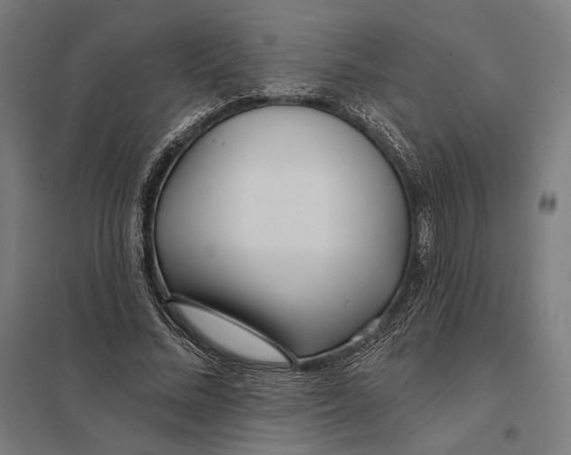 X0000097750684200803281611