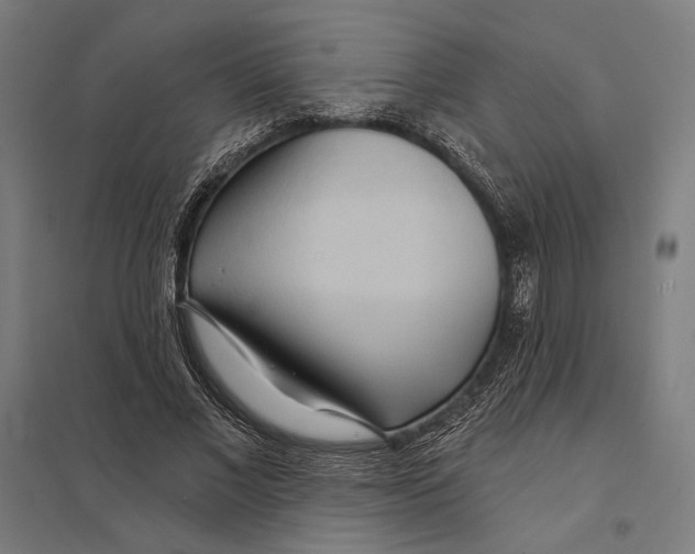 X0000097750685200803281611