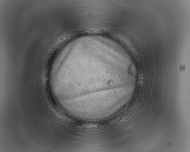 X0000097750687200803281610