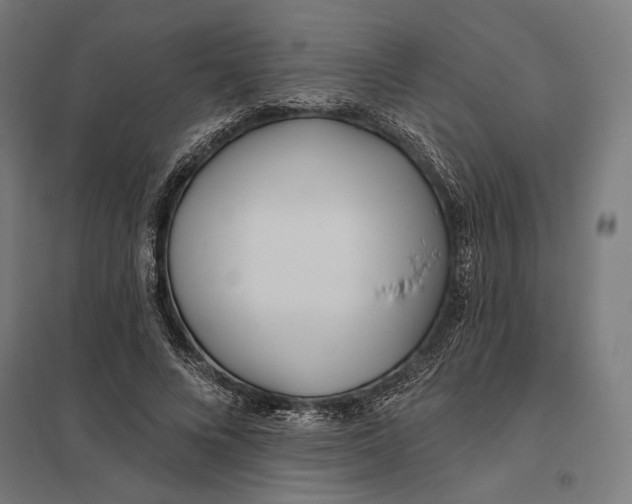 X0000097750688200803281610