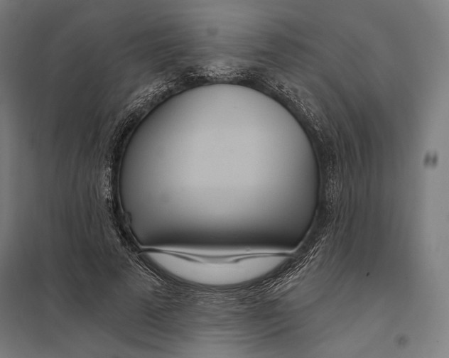 X0000097750689200803281610