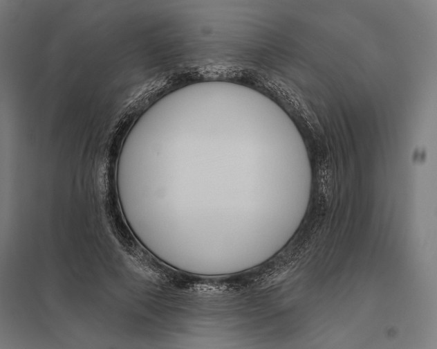 X0000097750690200803281610