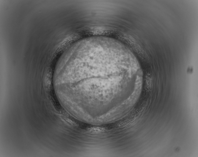 X0000097750691200803281610