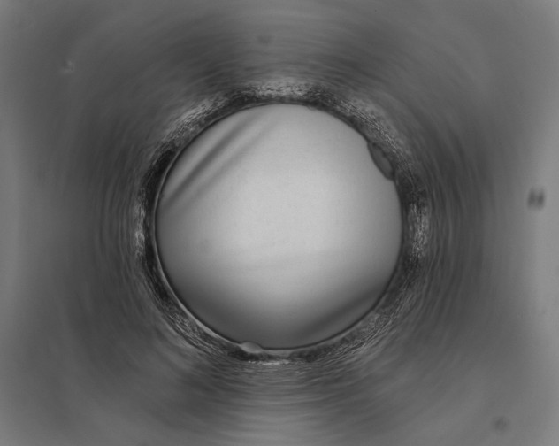 X0000097750692200803281610