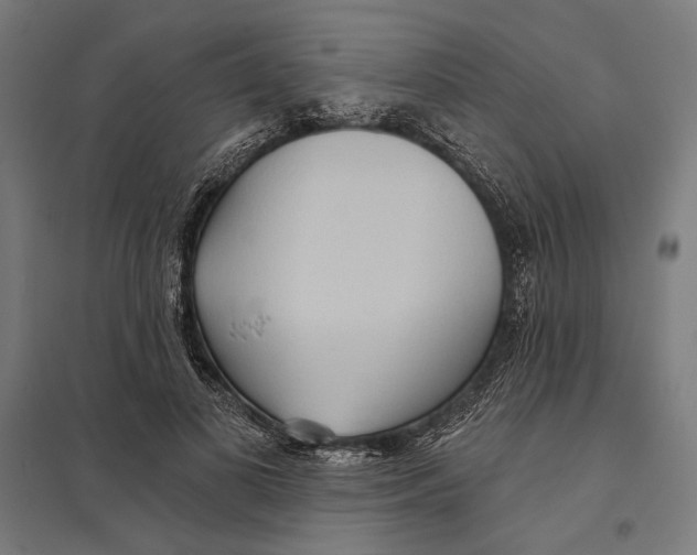 X0000097750693200803281610