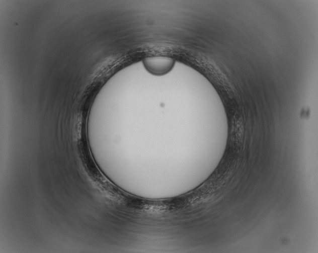 X0000097750694200803281610