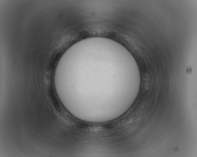 X0000097750695200803281610