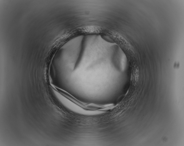 X0000097750696200803281610