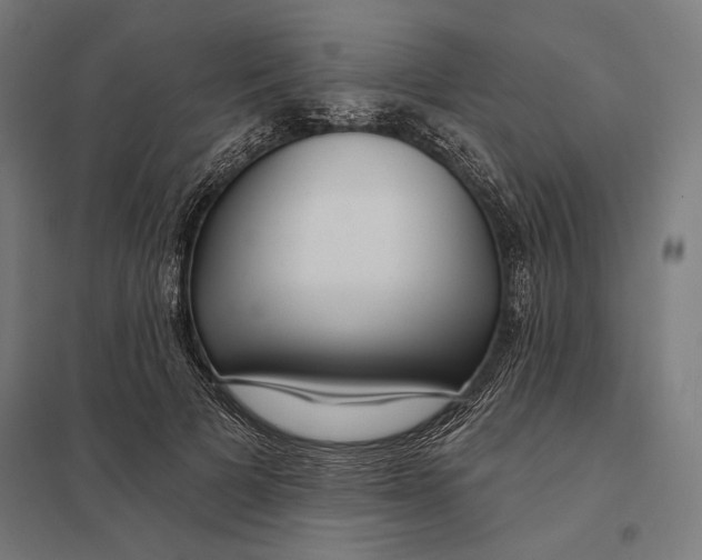 X0000097750697200803281610