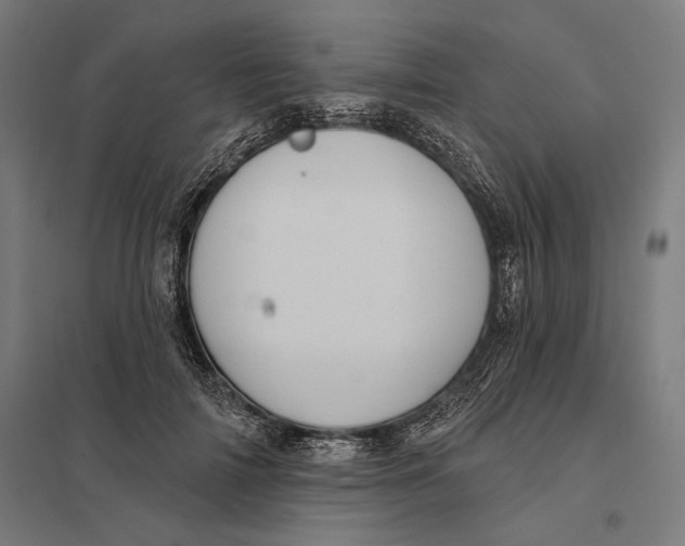 X0000097750698200803281610