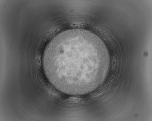 X0000097750699200803281610