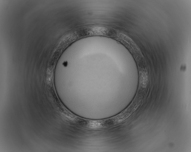 X0000097750701200803281610