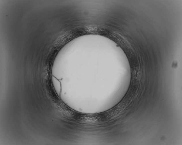 X0000097750702200803281610