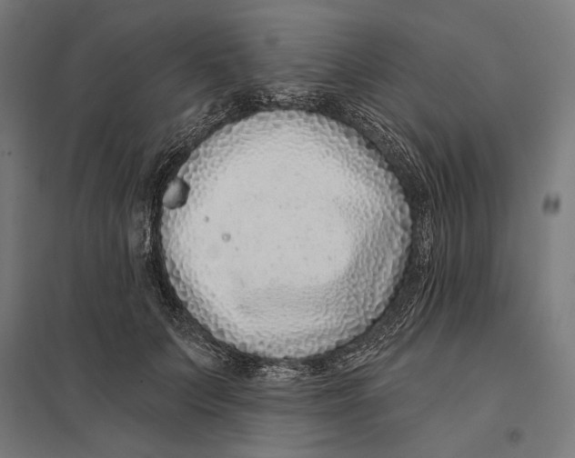 X0000097750703200803281610