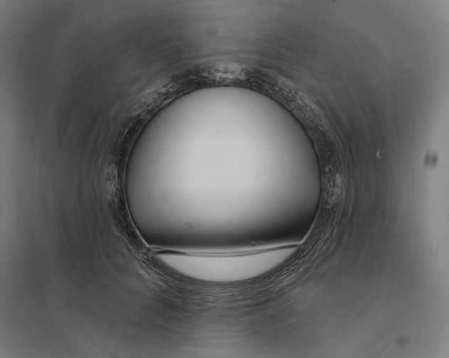 X0000097750704200803281610