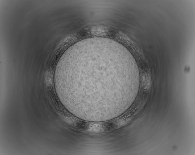 X0000097750705200803281610