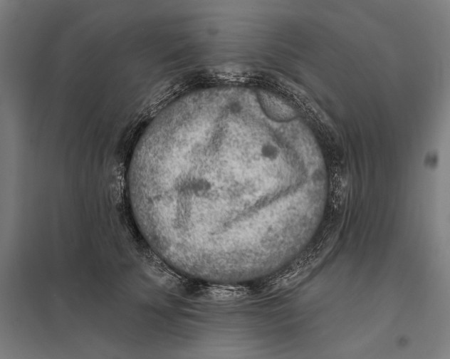 X0000097750707200803281610