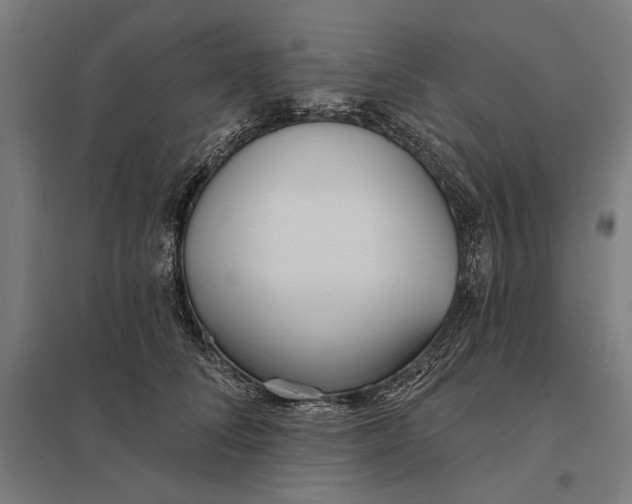 X0000097750708200803281610