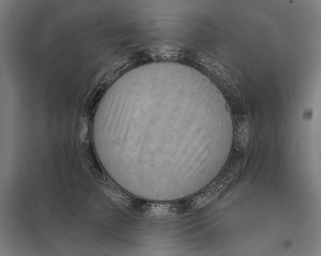 X0000097750709200803281610