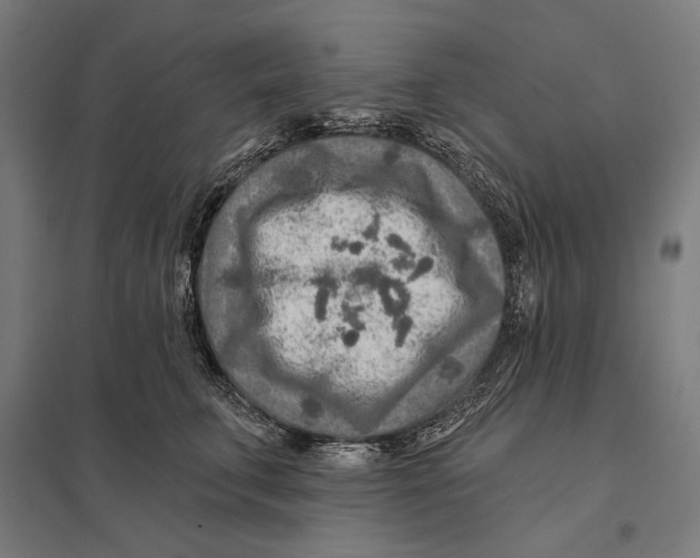 X0000097750711200803281610