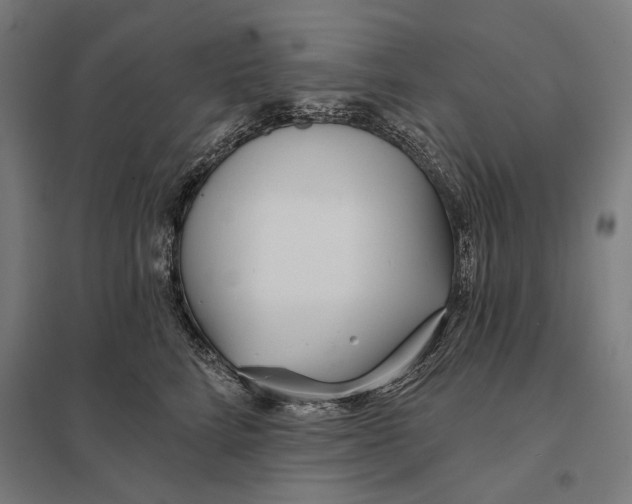 X0000097750712200803281610