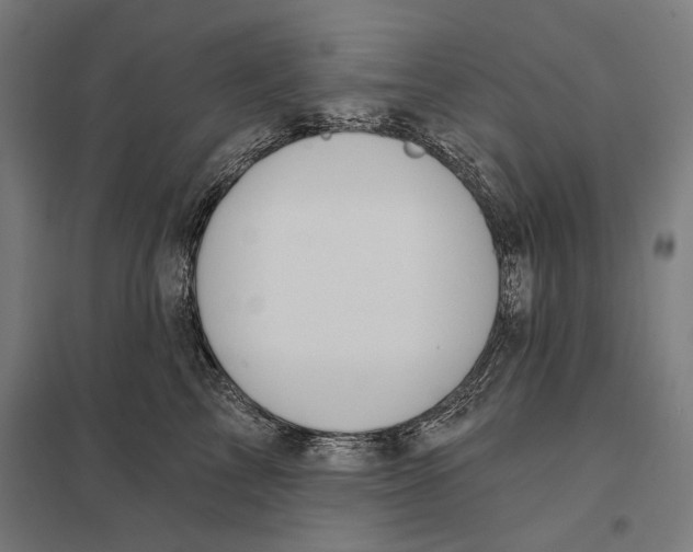 X0000097750713200803281610