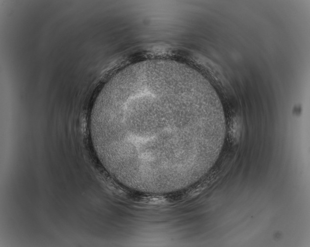 X0000097750715200803281610