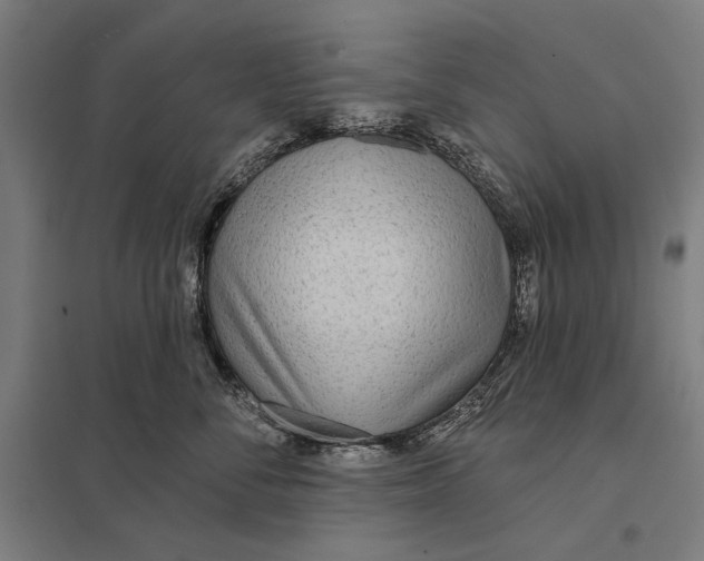 X0000097750716200803281610