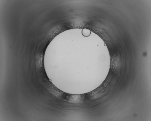 X0000097750717200803281610