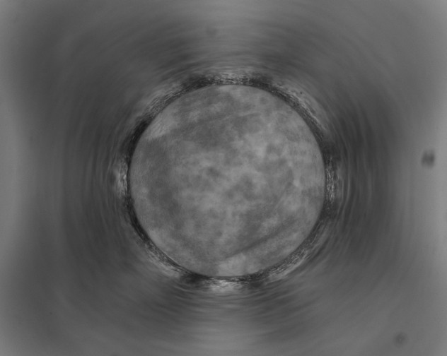 X0000097750718200803281610