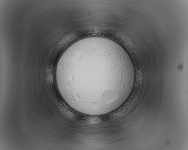 X0000097750719200803281610