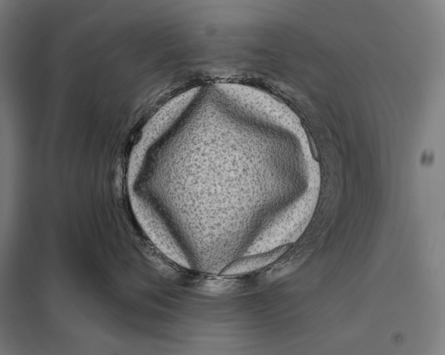 X0000097750720200803281610