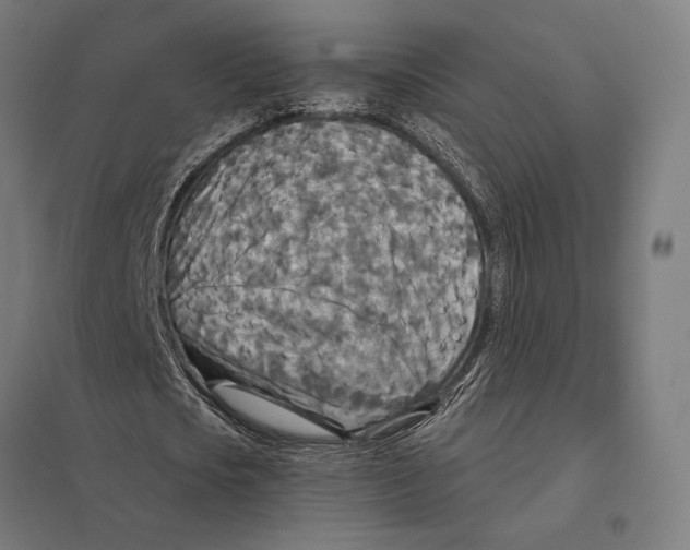 X0000097750721200803281609