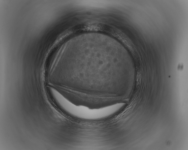 X0000097750722200803281609