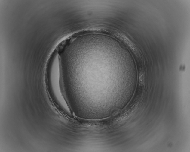 X0000097750724200803281609